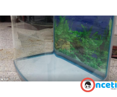 En Venta Acuario Curvo para Peces